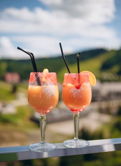 Gallery image /_next/static/media/aperol.0oq0mfmohqqpr.jpg